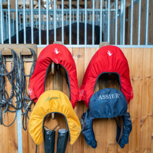 Double Saddle Rest